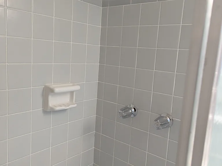 Master shower