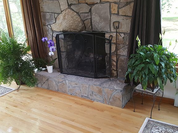 fireplace (has gas, too)