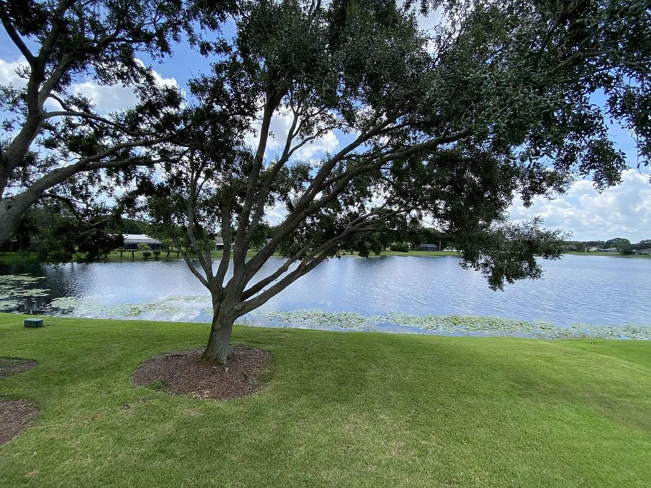 3 bed, 2.5 bath, 2250 sqft, $3,195 — Photo 2