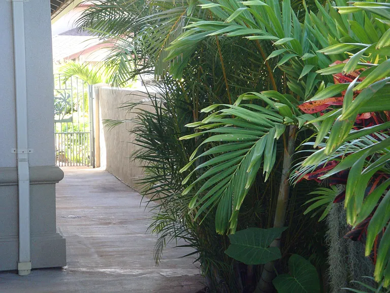 side walkway