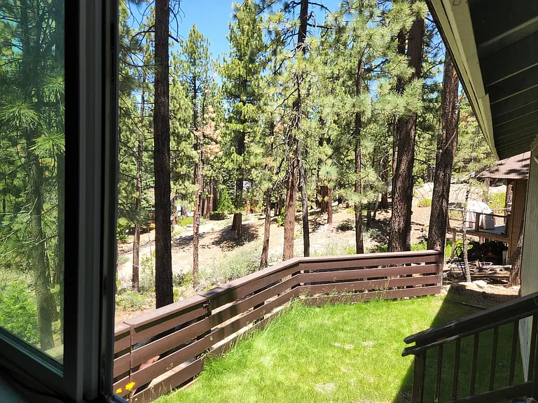 Livingroom view of Back Yard and Forest