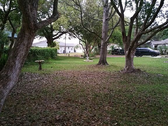 Side yard looking to house