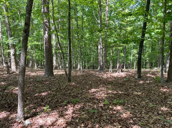 Tract1a Chalcrest Way, Cave Spring, GA 30124