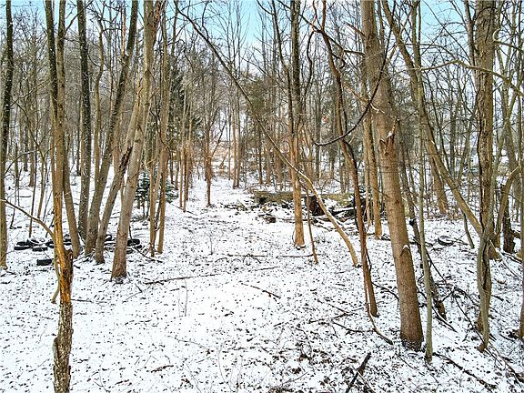 3rd image of 217 Klein Rd