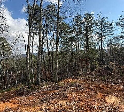 3rd image of 291 Palow Rd