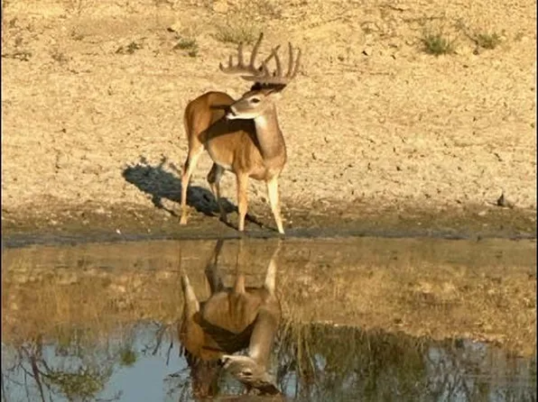 2367 County Road 311, Gouldbusk, TX 76845