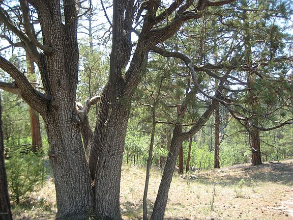 5th image of 2664 Canyon View Dr Lot 533