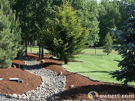 Dry Creek bed