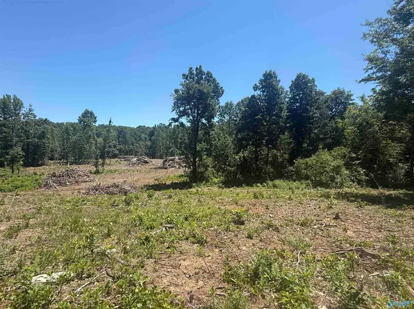 Bishop Mountain Rd, Grant, AL 35747