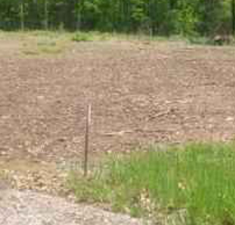2nd image of 15 Edith Way
