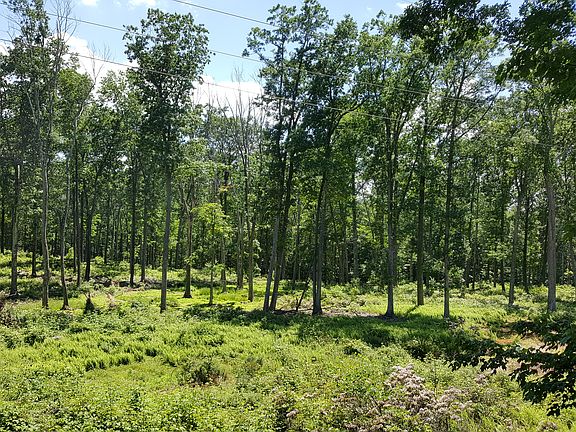 Back deck view of state land