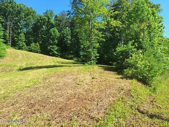 4th image of 319 Wildcattrail Trl
