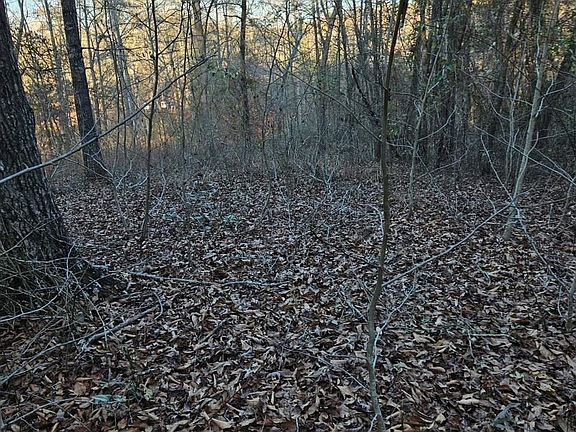 3rd image of 0 Ward Haven Dr Lot 8A