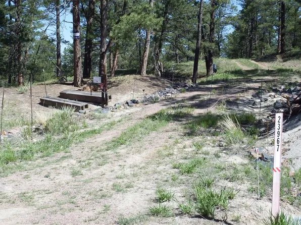 23967 High Timber Lane, Agate, CO 80101