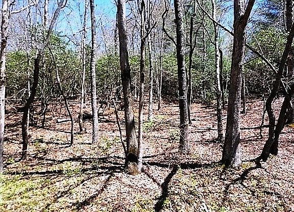 4th image of LOT 5 Jarrett Oaks Dr