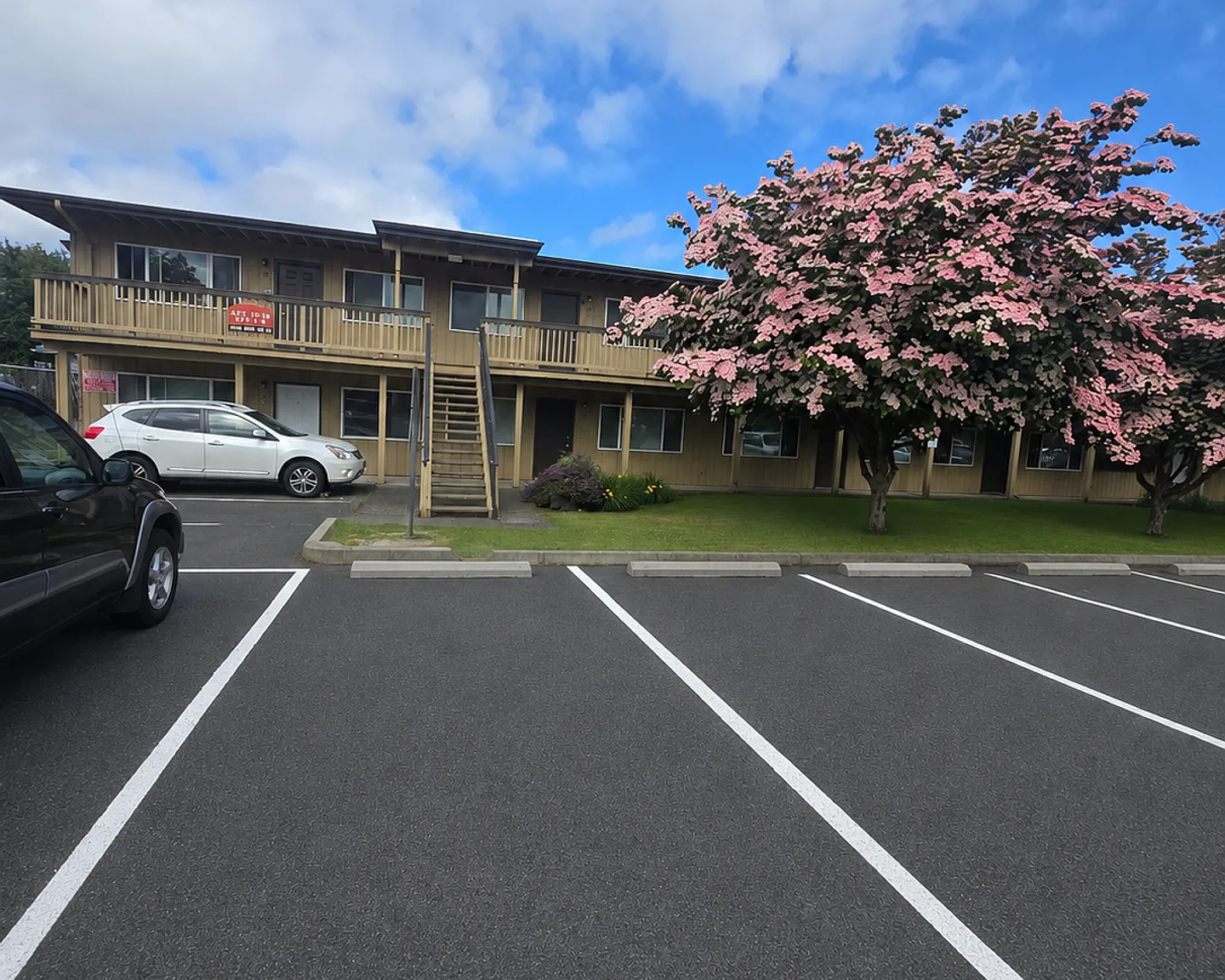 Cherry Tree — Photo 1