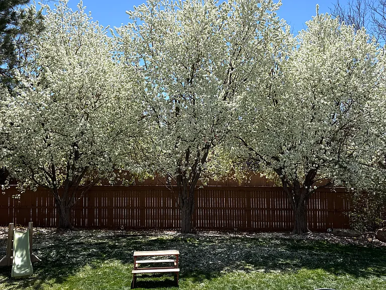 16158 E Prentice Pl — Photo 2
