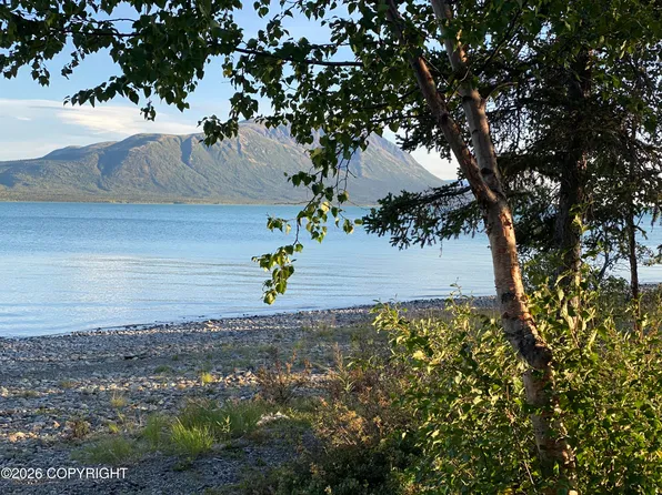 L13 B Keyes Point #6, Pt Alsworth, AK 99653