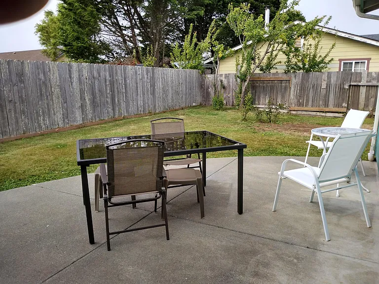 LEFT REAR CORNER OF LOT WITH PLUM TREES
