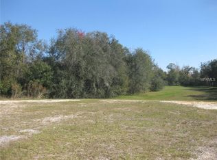 8196 Valhalla Ter, Kissimmee, FL 34747