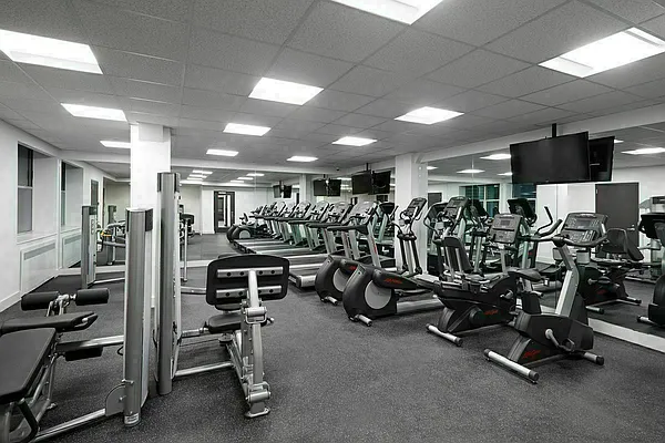 Rented by Douglas Elliman | media 25