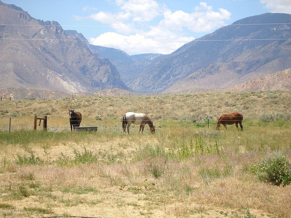 Back yard view and pasture