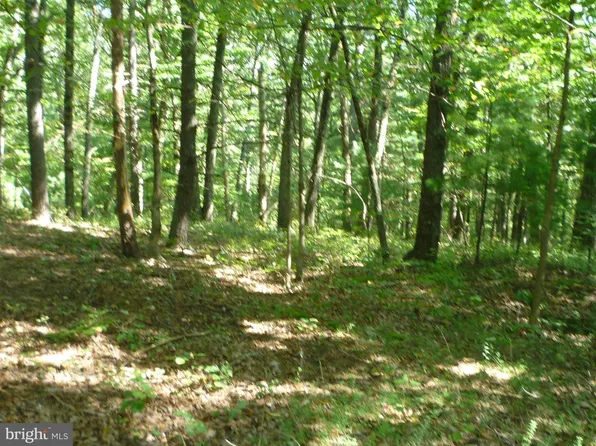 Supinlick Rdg, Mount Jackson, VA 22842