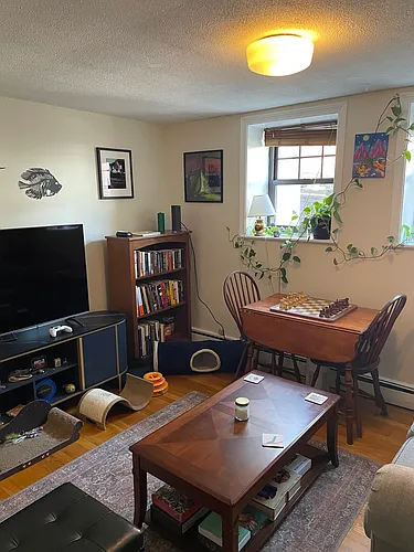 65 Chester St #B Photo 1 65 Chester St #B Photo 1
