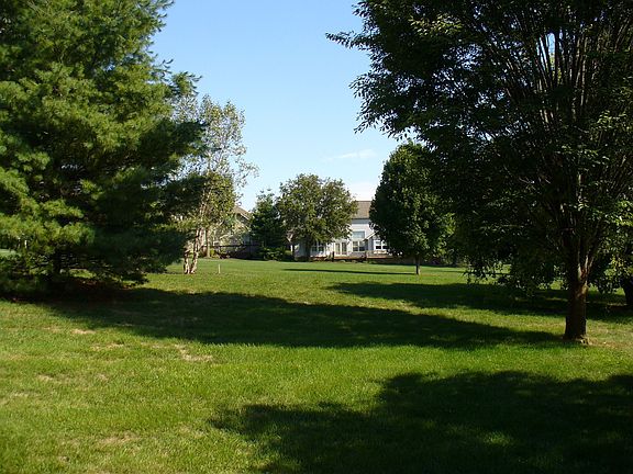 The golf course