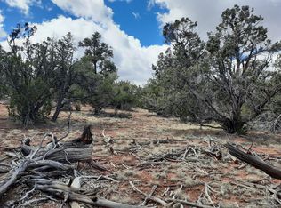 55660 N La Bruja Rd, Seligman, AZ 86337