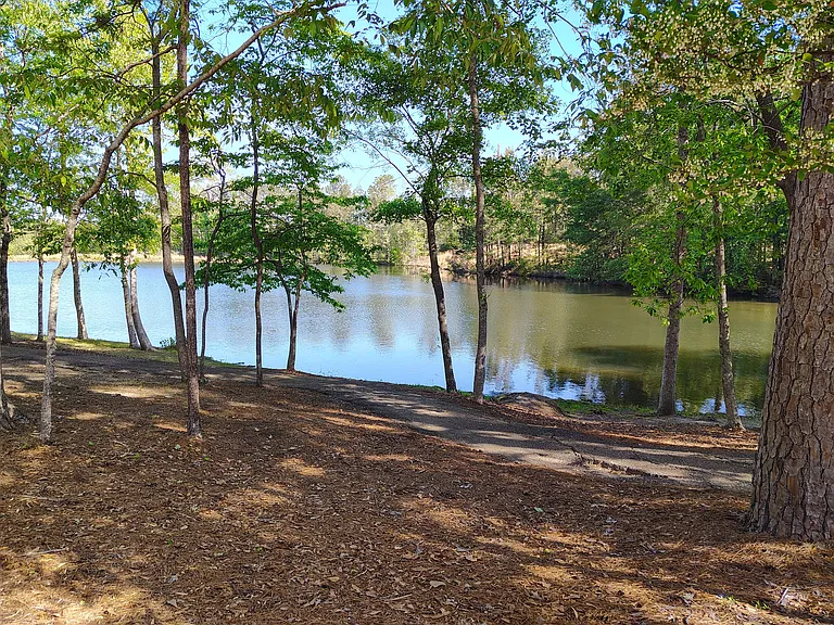 6 Tyler Cv — Photo 39
