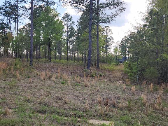4th image of 43 Pasture Creek Ln
