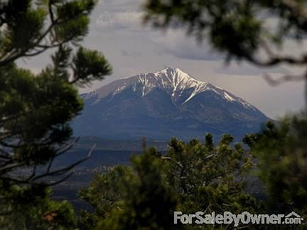 View of Spanish Peaks from Mound. Pinon Pine, Cedar & Juniper trees grow there.