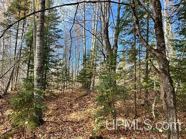 1st image of PARCEL 4 Crooked Rd