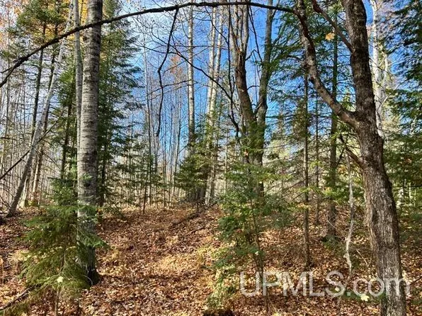 PARCEL 4 Crooked Rd, Chassell, MI 49916