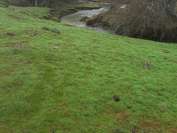 4th image of 125 Thicket Ln