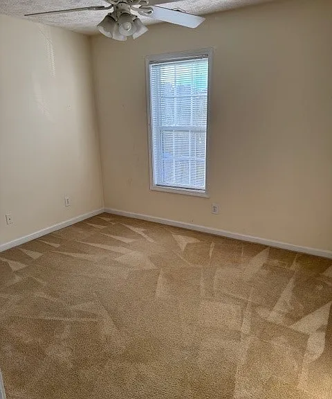 5340 Miranda Dr — Photo 15