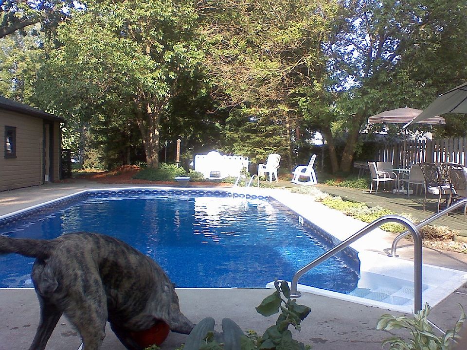 Back yard pool
