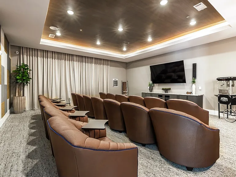 Theater Room