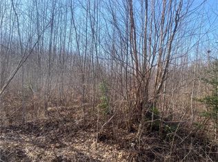 Near Bass Lake Road, Park Falls, WI 54552