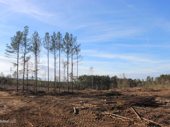 Firetower Rd, Camden, MS 39045