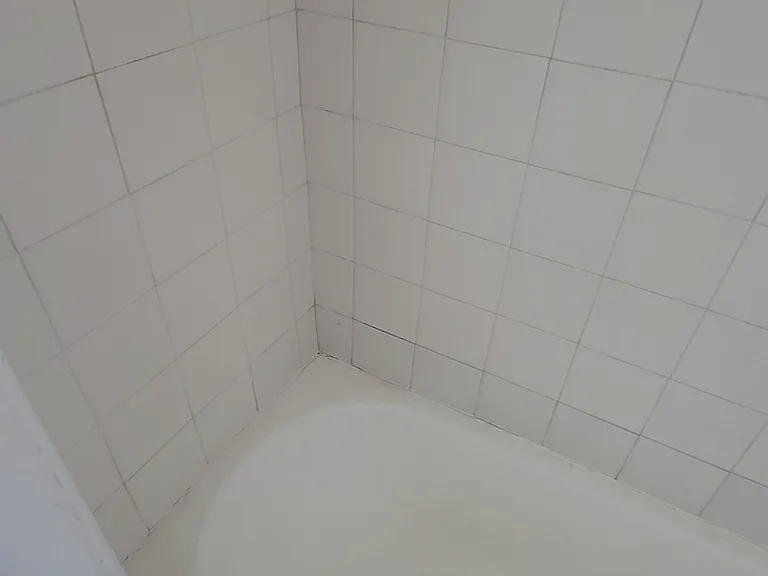 835 Cedar Ave #4 — Photo 15
