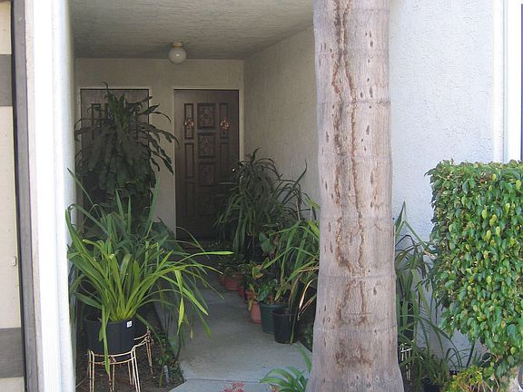 Entry walkway to the front door