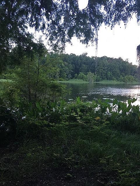 2nd image of 1185 Longpoint Rd