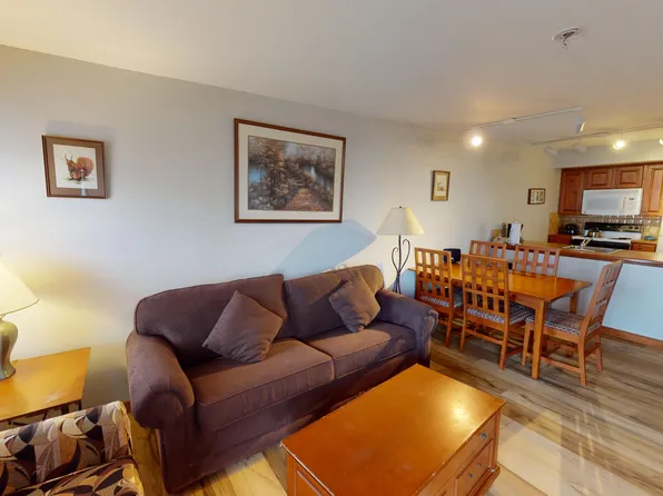 30 Highland House Trl #308, Slatyfork, WV 26291