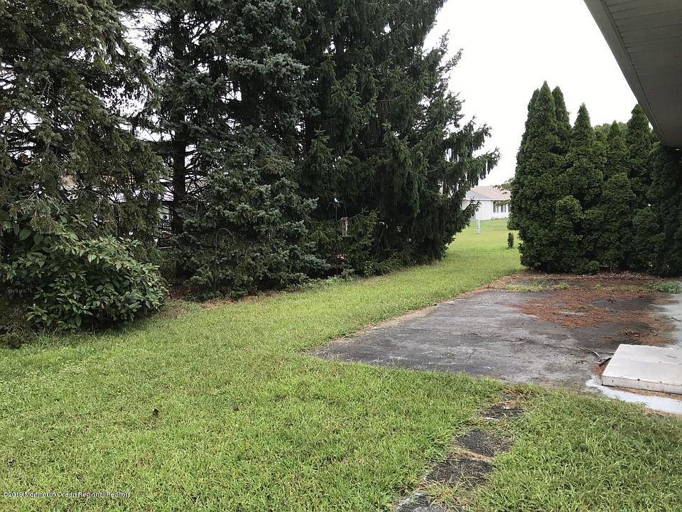 2nd image of 3 Palmetto Poin