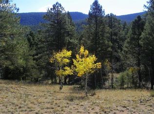 3817 Spruce Rd, Woodland Park, CO 80863