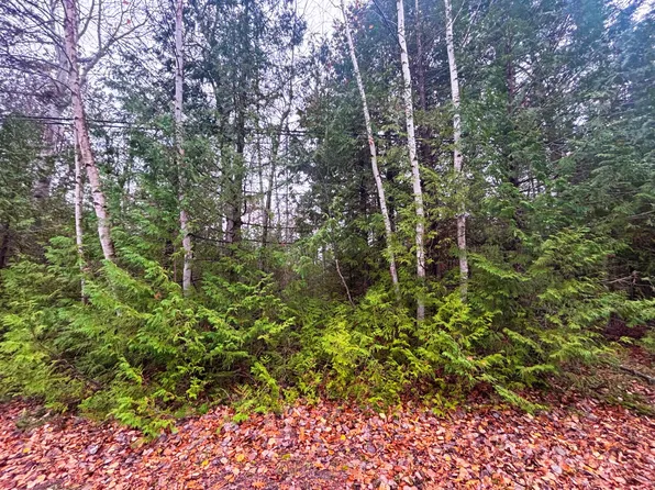 LOT 14 E Grand Lake Rd, Presque Isle, MI 49777