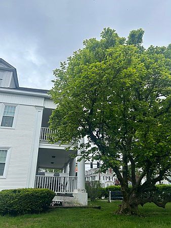 1st image of 389 S Main St #5