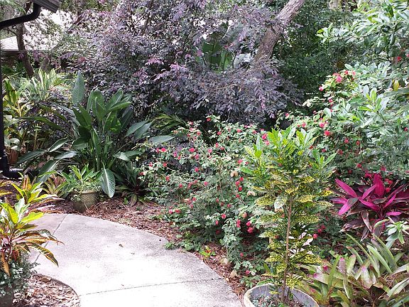 3rd image of 813 Staghorn Ct